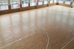 篮球馆地板(篮球馆地板保养)